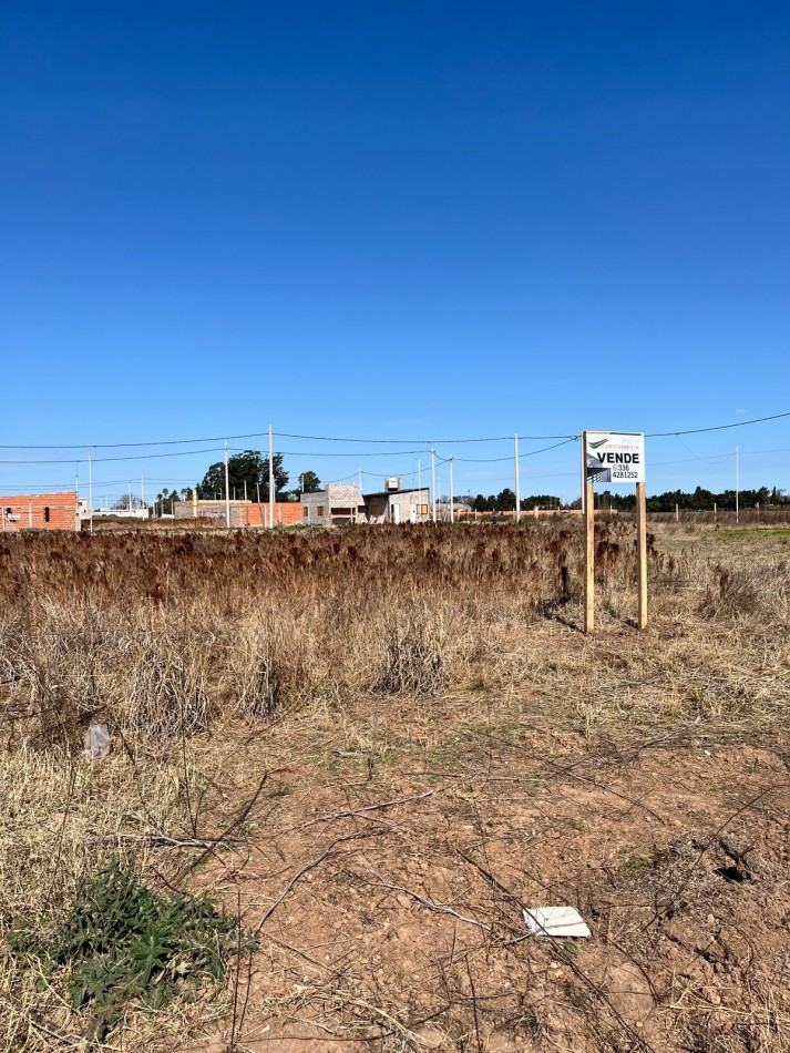 Venta de lote 