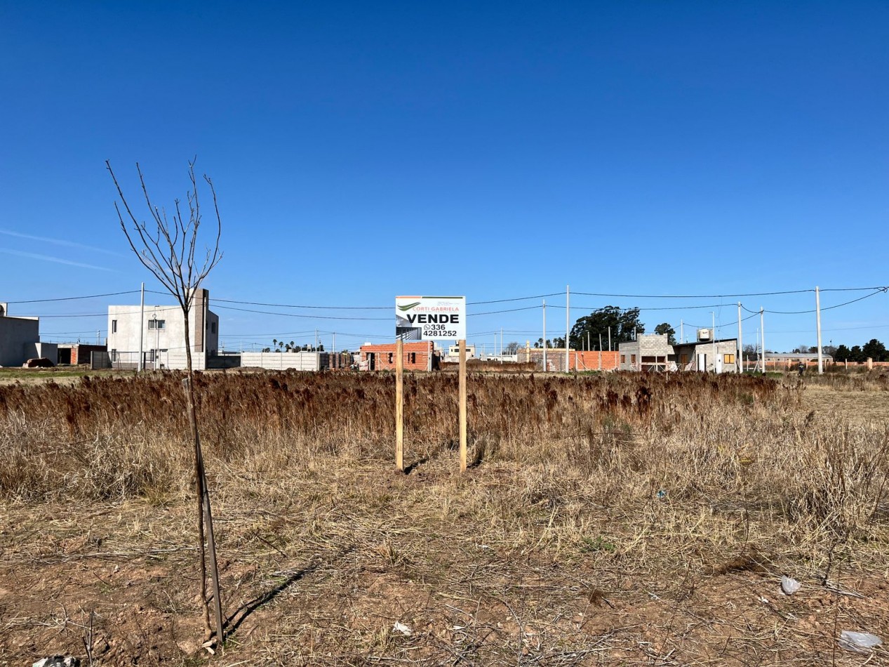 Venta de lote 
