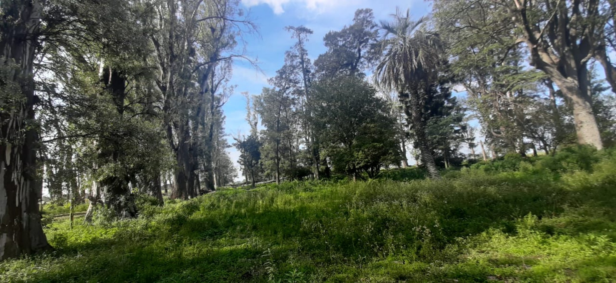Venta de campo con casco