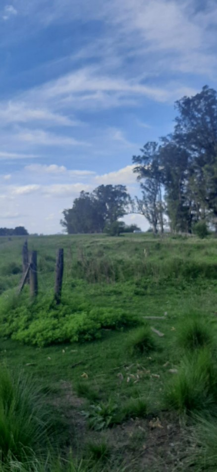 Venta de campo con casco