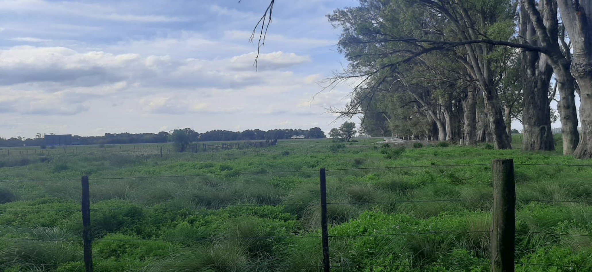 Venta de campo con casco