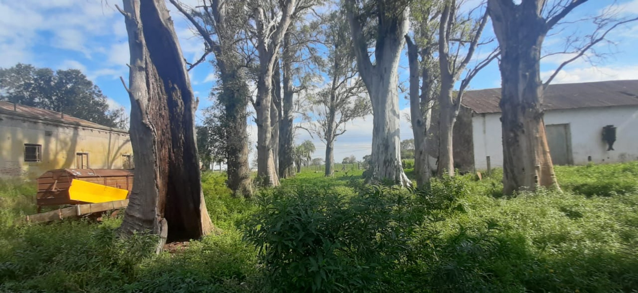 Venta de campo con casco
