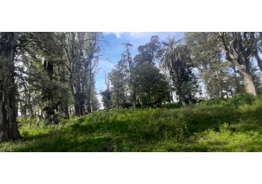 Venta de campo con casco