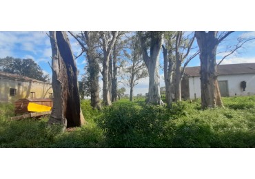 Venta de campo con casco