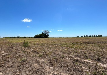 Campo de 8 hectareas en Venta